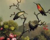 Martin Johnson Heade